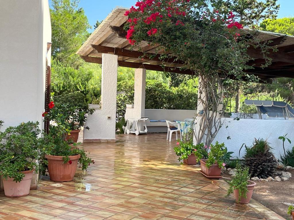 Villetta Oasi Favignana Esterno foto