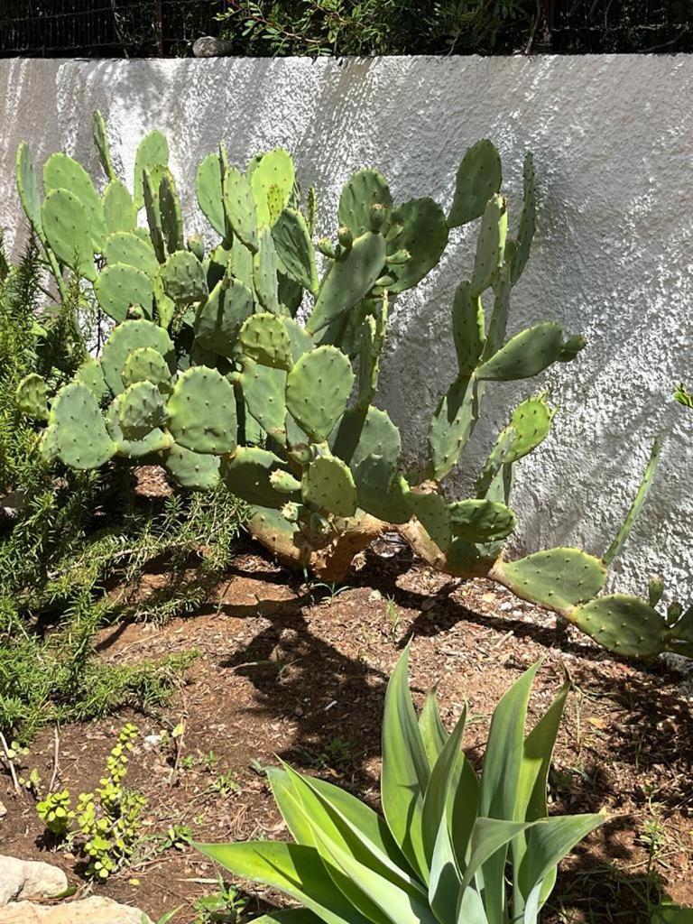 Villetta Oasi Favignana Esterno foto